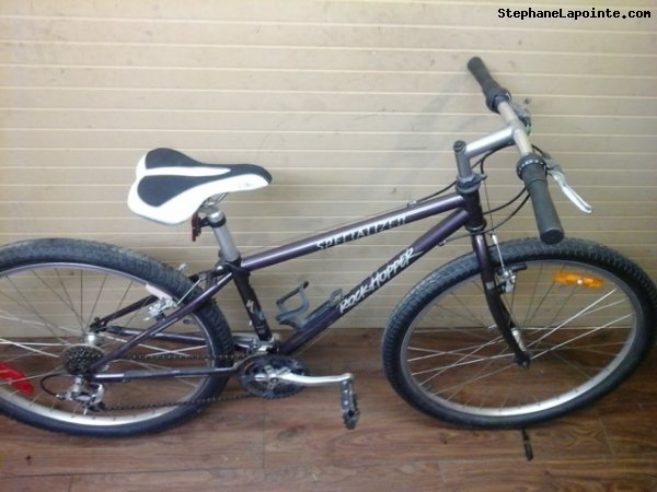 Vélo Specialized Rock Hopper - StephaneLapointe.com