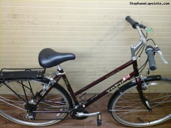 Vélo Trek 720 Multitrack - StephaneLapointe.com