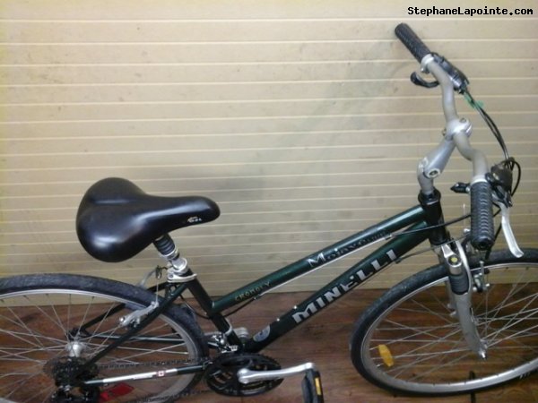 Vélo Minelli Mojave - StephaneLapointe.com