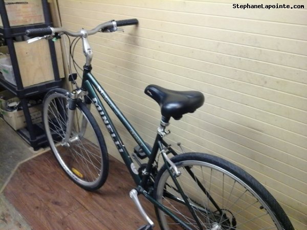 Vélo Minelli Mojave - StephaneLapointe.com