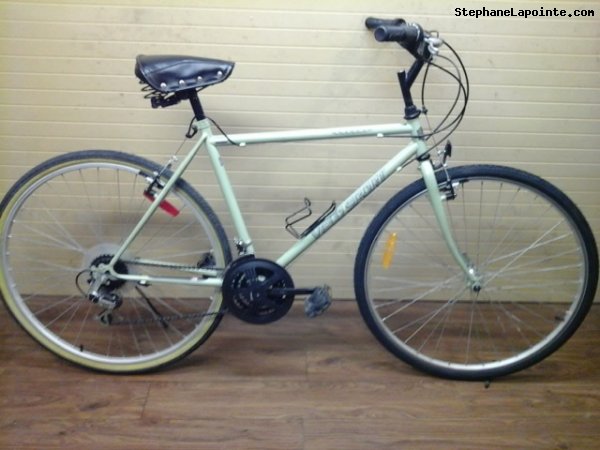 Vélo Velo Sport Enduro - StephaneLapointe.com