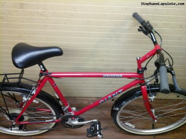 Vélo Giant Iguana - StephaneLapointe.com