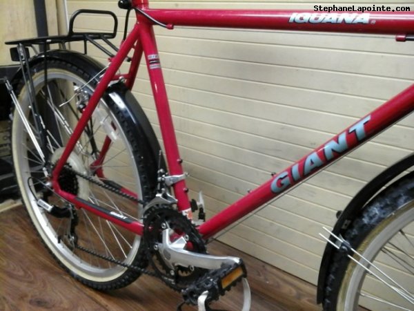 Vélo Giant Iguana - StephaneLapointe.com