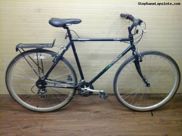 Vélo Minelli Dynasty - StephaneLapointe.com