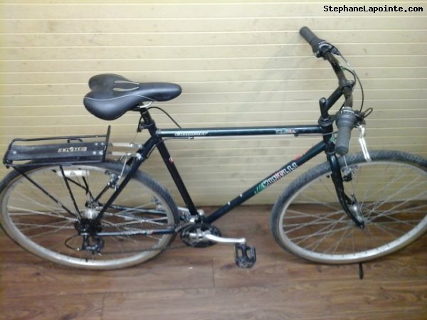 Vélo Minelli Dynasty - StephaneLapointe.com