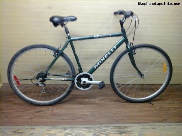 Vélo Minelli Silhouette - StephaneLapointe.com