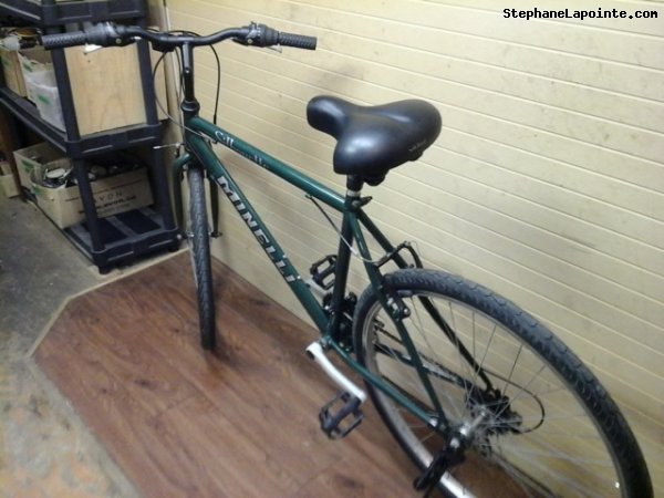 Vélo Minelli Silhouette - StephaneLapointe.com