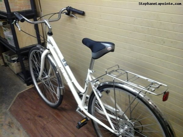 Vélo Schwinn Gateway - StephaneLapointe.com