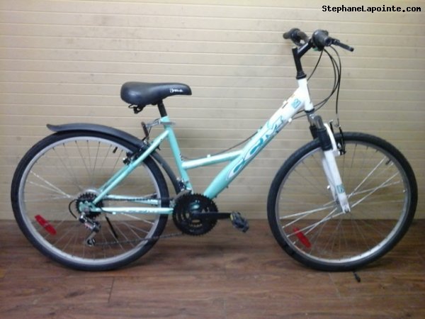 Vélo CCM City Express - StephaneLapointe.com