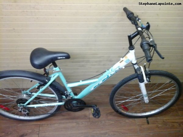 Vélo CCM City Express - StephaneLapointe.com
