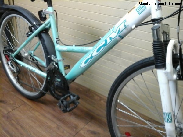 Vélo CCM City Express - StephaneLapointe.com