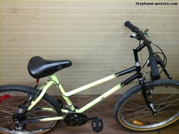 Vélo Free Spirit Trailhandler - StephaneLapointe.com