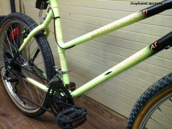 Vélo Free Spirit Trailhandler - StephaneLapointe.com
