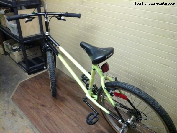 Vélo Free Spirit Trailhandler - StephaneLapointe.com