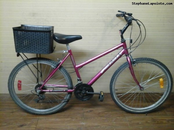 Vélo Triumph Laser - StephaneLapointe.com