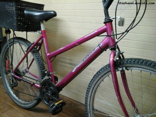 Vélo Triumph Laser - StephaneLapointe.com