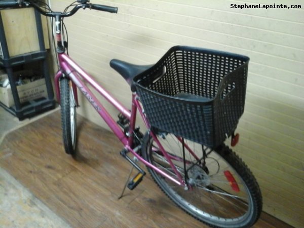Vélo Triumph Laser - StephaneLapointe.com
