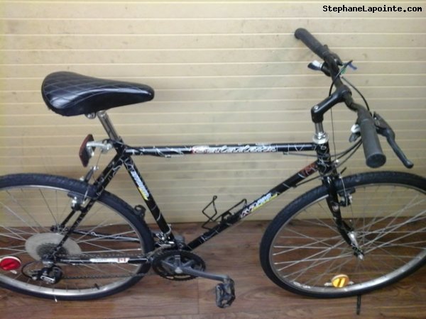 Vélo AVP Baladeur - StephaneLapointe.com