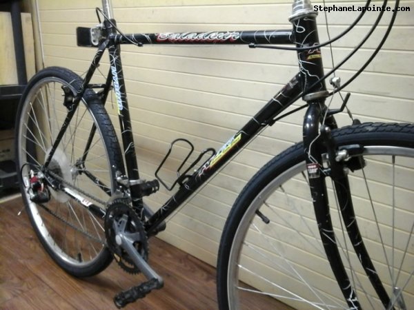 Vélo AVP Baladeur - StephaneLapointe.com
