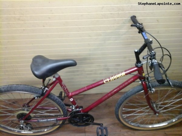 Vélo Free Spirit Clipper - StephaneLapointe.com