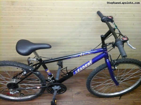 Vélo Leader Adventure - StephaneLapointe.com