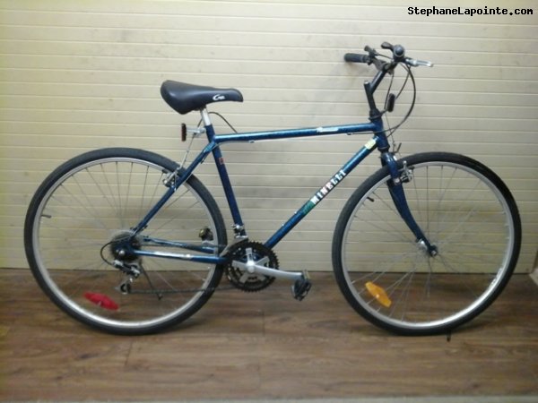 Vélo Minelli Promenade - StephaneLapointe.com