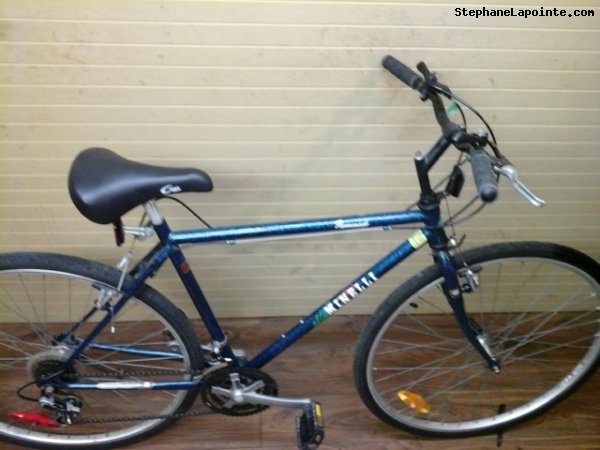 Vélo Minelli Promenade - StephaneLapointe.com