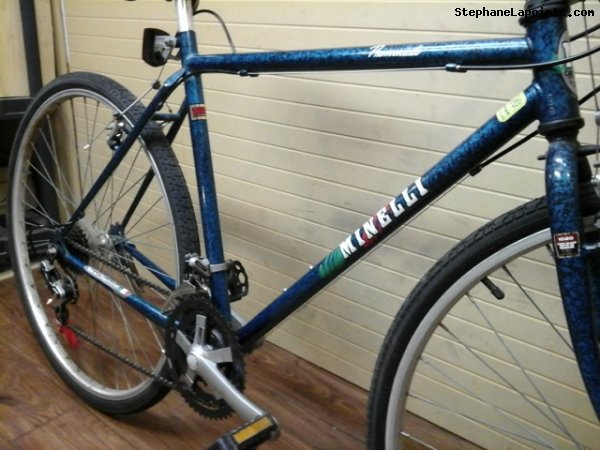Vélo Minelli Promenade - StephaneLapointe.com