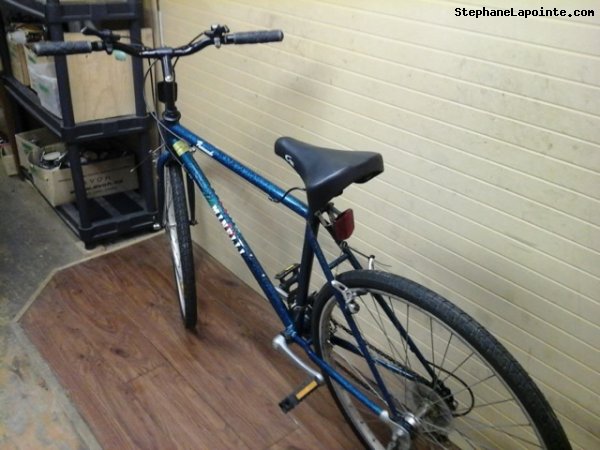 Vélo Minelli Promenade - StephaneLapointe.com