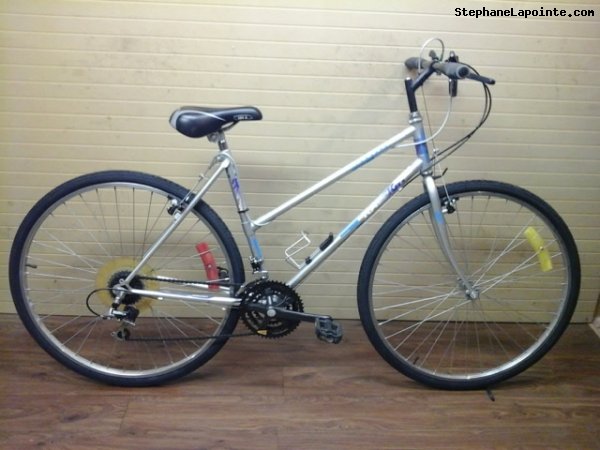 Vélo Raleigh Montage - StephaneLapointe.com