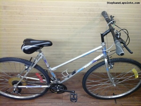 Vélo Raleigh Montage - StephaneLapointe.com