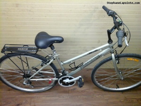 Vélo Precision PR 7035 - StephaneLapointe.com