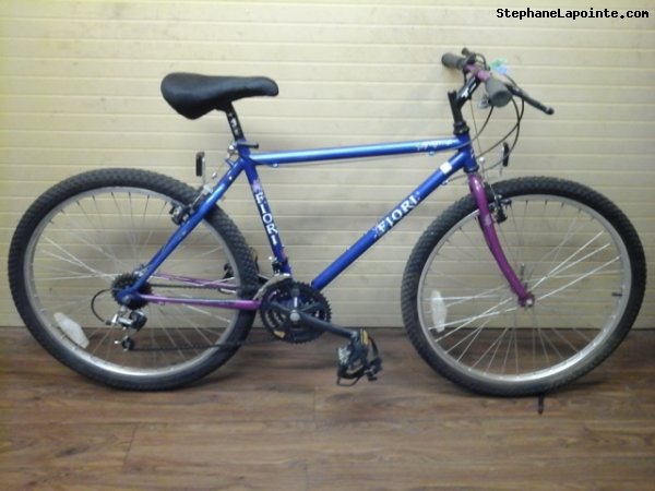 Vélo Fiori Aventura - StephaneLapointe.com