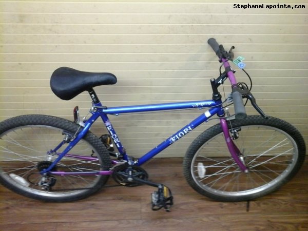 Vélo Fiori Aventura - StephaneLapointe.com