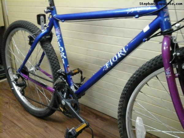 Vélo Fiori Aventura - StephaneLapointe.com