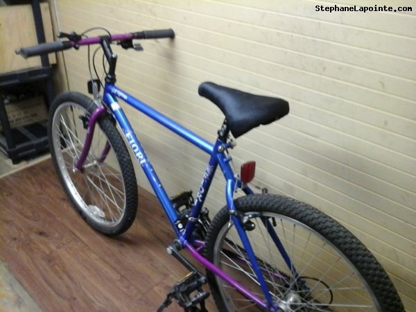 Vélo Fiori Aventura - StephaneLapointe.com