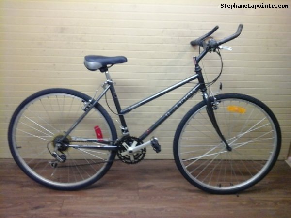 Vélo Raleigh Highlander GS - StephaneLapointe.com