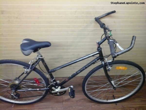 Vélo Raleigh Highlander GS - StephaneLapointe.com