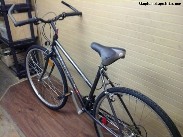 Vélo Raleigh Highlander GS - StephaneLapointe.com