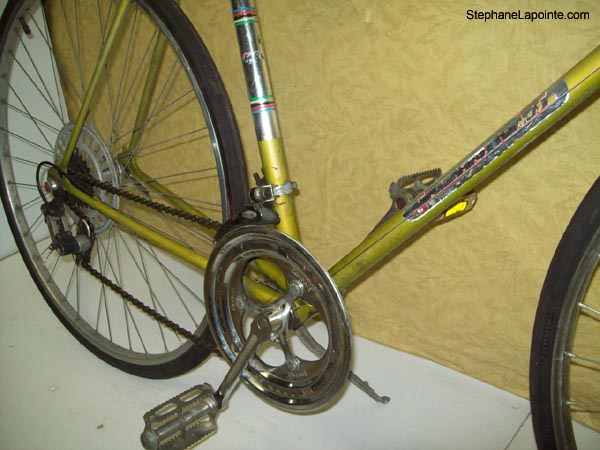 Vélo Rapido Favorit - StephaneLapointe.com