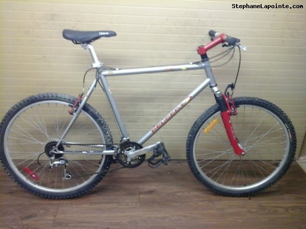 Vélo Peugeot Dune - StephaneLapointe.com