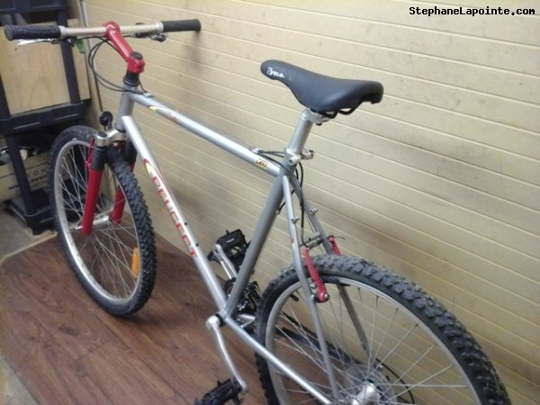 Vélo Peugeot Dune - StephaneLapointe.com