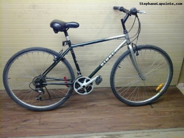 Vélo Minelli Silhouette - StephaneLapointe.com