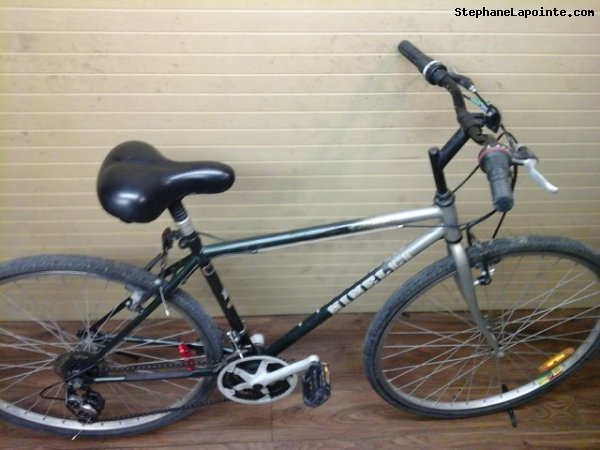 Vélo Minelli Silhouette - StephaneLapointe.com