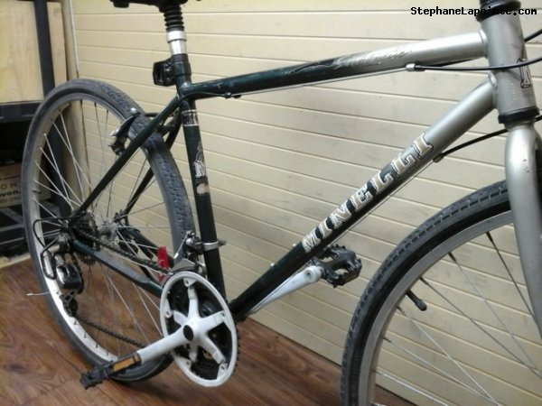 Vélo Minelli Silhouette - StephaneLapointe.com