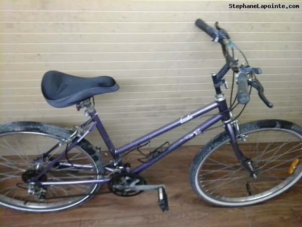 Vélo Conti Lassha - StephaneLapointe.com