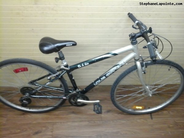 Vélo Louis Garneau De La Loire - StephaneLapointe.com