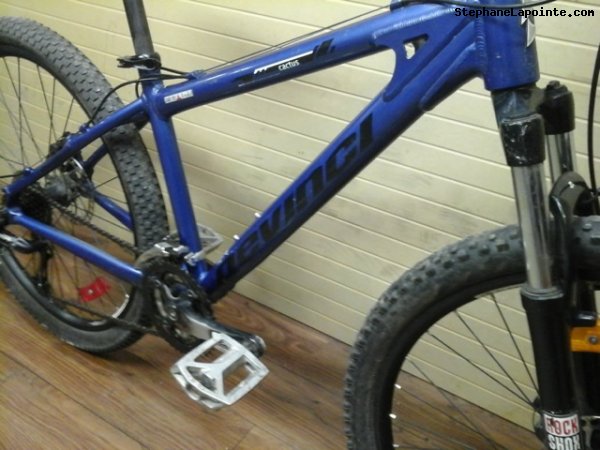 Vélo Devinci Cactus - StephaneLapointe.com