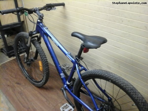 Vélo Devinci Cactus - StephaneLapointe.com