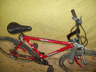 Vélo Supercycle Gemini - StephaneLapointe.com